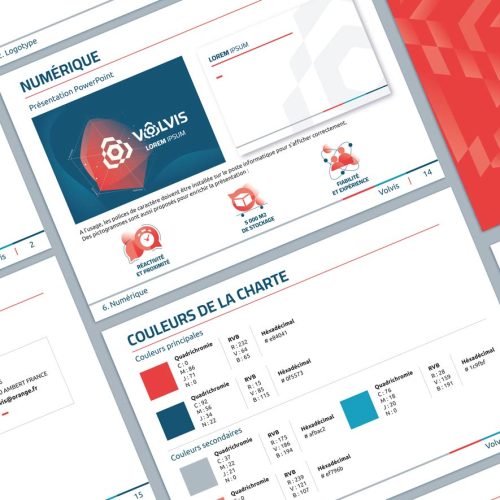 camille-bou-graphiste-ambert-charte-graphique