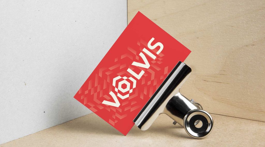 charte-graphique-creation-de-logo-camille-bou indentite visuelle volvis camille auboussu